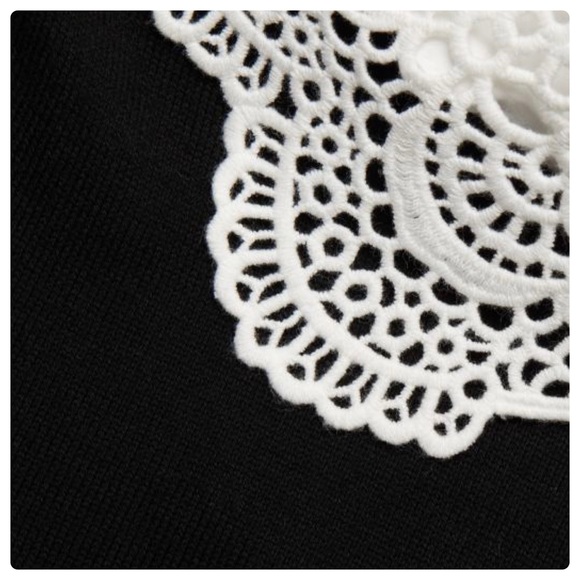 ALICE + OLIVIA Chase Eyelet Collar Sweater - Picture 4 of 12